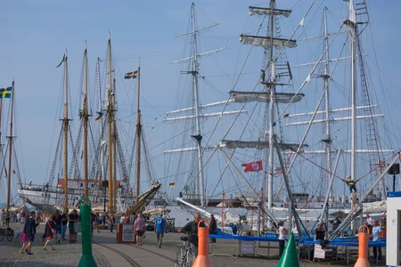 Diese Szene zeigt eine Ansammlung klassischer Segelschiffe im Hafen von Stralsund, die vermutlich während eines maritimen Festivals aufgenommen wurde.
